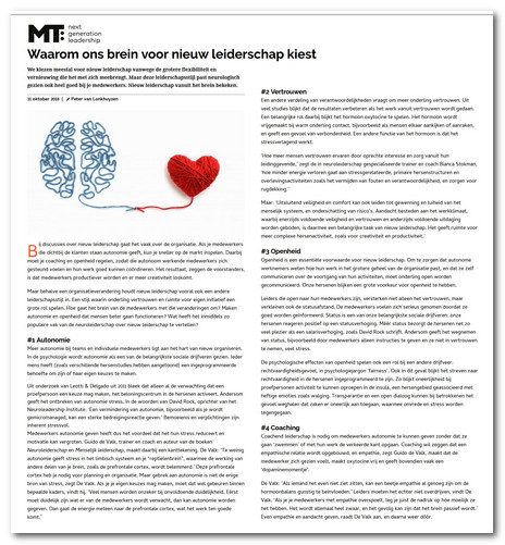 Nieuw leiderschap vanuit het brein bekeken plaatje